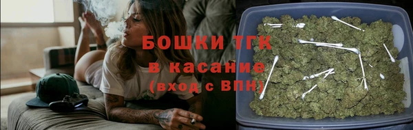 дживик Баксан