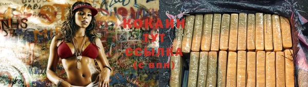 трава Балахна
