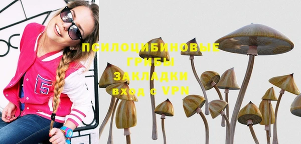 трава Балахна