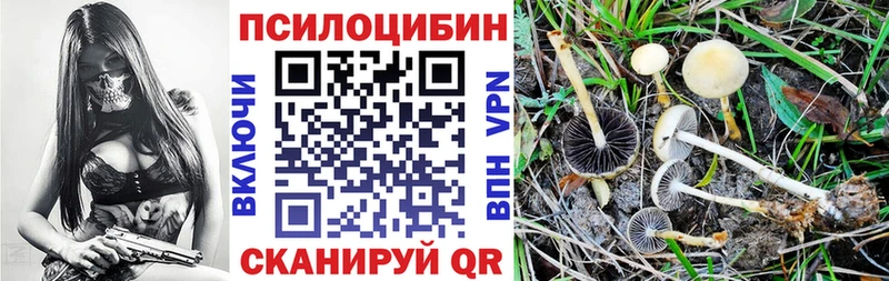 Галлюциногенные грибы GOLDEN TEACHER  Нерюнгри 